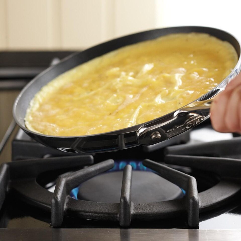 AllClad d5 StainlessSteel Nonstick Omelette Pan, 23cm Williams